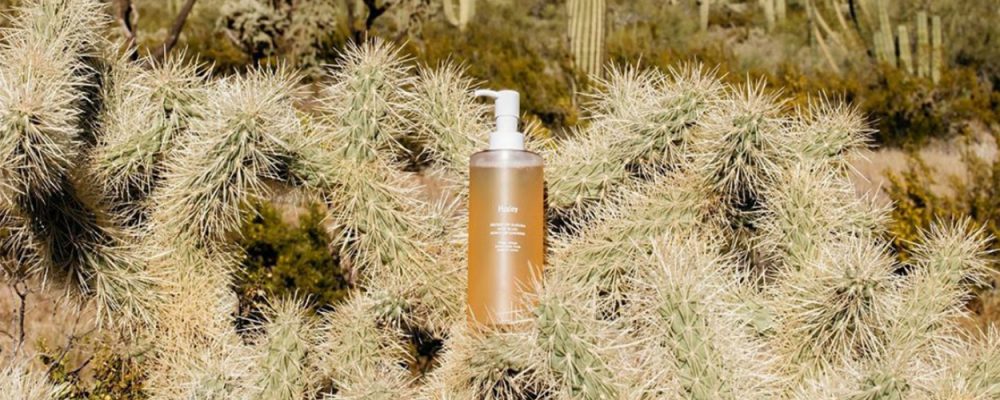 K-Beauty Favorites Huxley