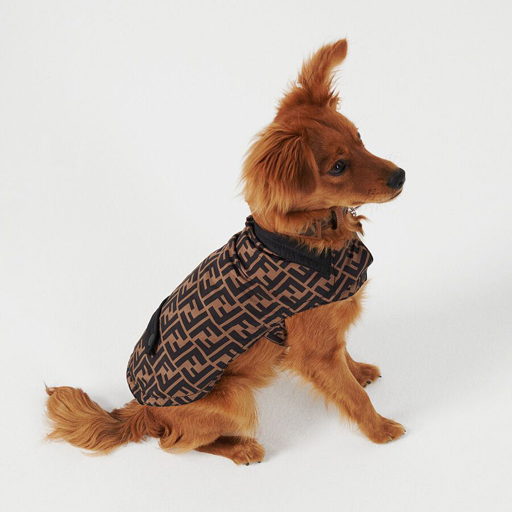 5 matching looks for you and your dog